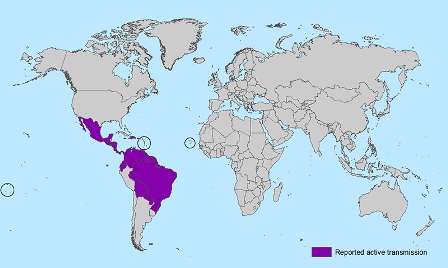 World-map-active-zika-transmission